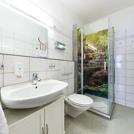 Vitalhotel Am Stadtpark Superior 酒店 3*