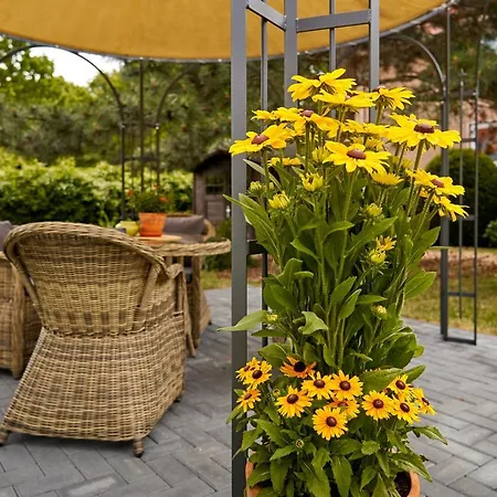 מלון Vitalhotel Am Stadtpark Superior באד הרצבורג