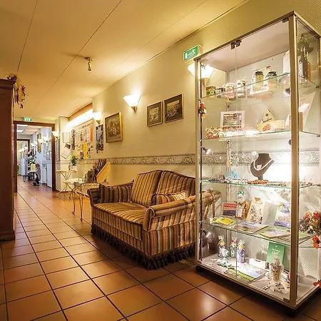 Vitalhotel Am Stadtpark Superior 酒店 巴特哈尔茨堡