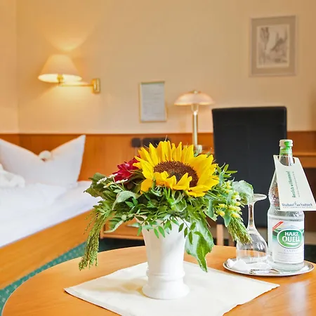 Vitalhotel Am Stadtpark Superior Hotel 3*