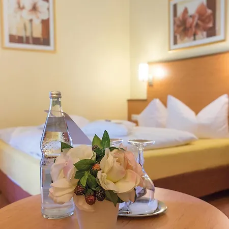 Vitalhotel Am Stadtpark Superior Hotel