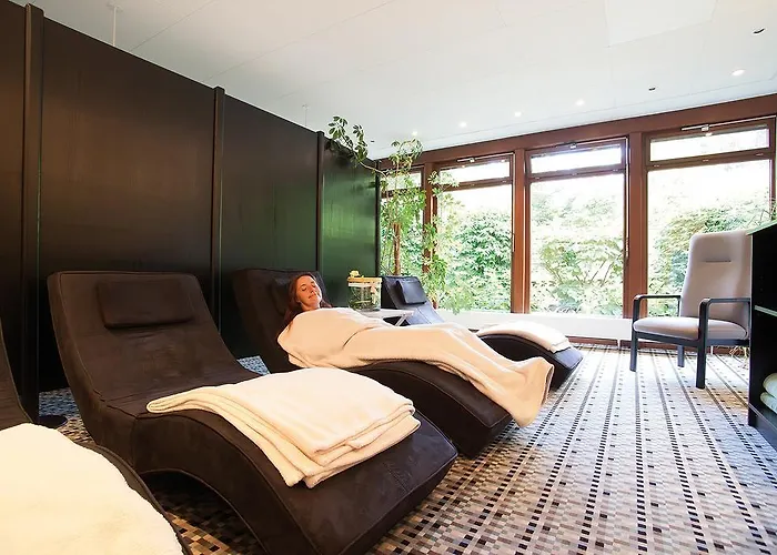 Hotel Vitalhotel Am Stadtpark Superior 3*