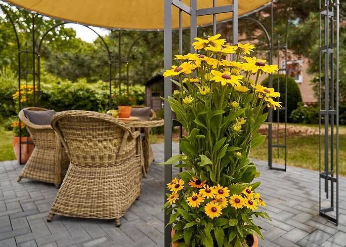 Hotel Vitalhotel Am Stadtpark Superior Bad Harzburg