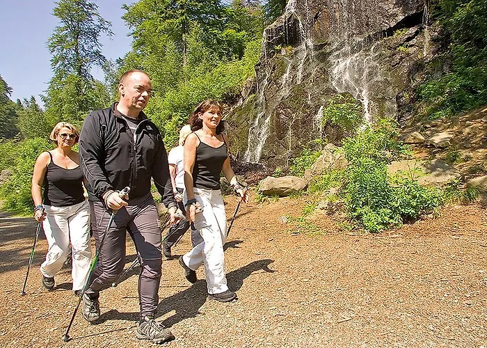 Hotel Vitalhotel Am Stadtpark Superior Bad Harzburg